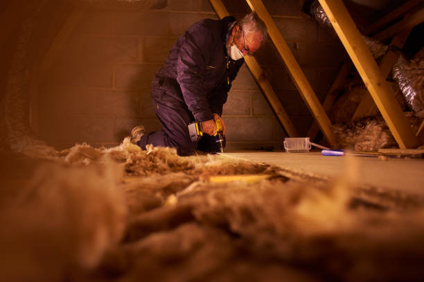 Best Attic Insulation Installation  in Benavides, TX